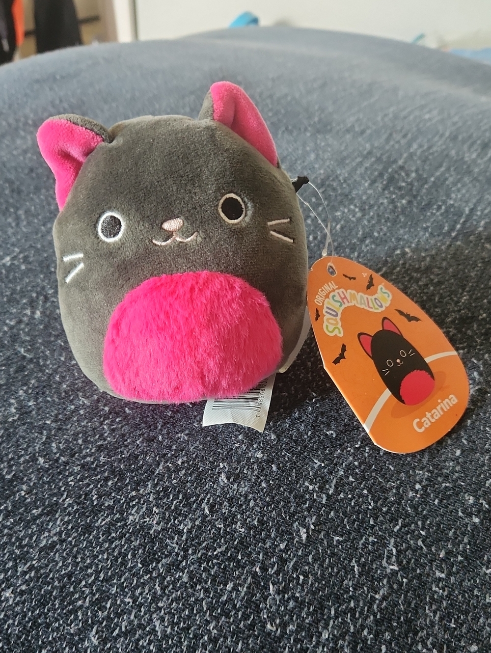 Squishmallows Gray Plush Cat Toy with Bright Pink Accents